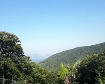 image-5050916